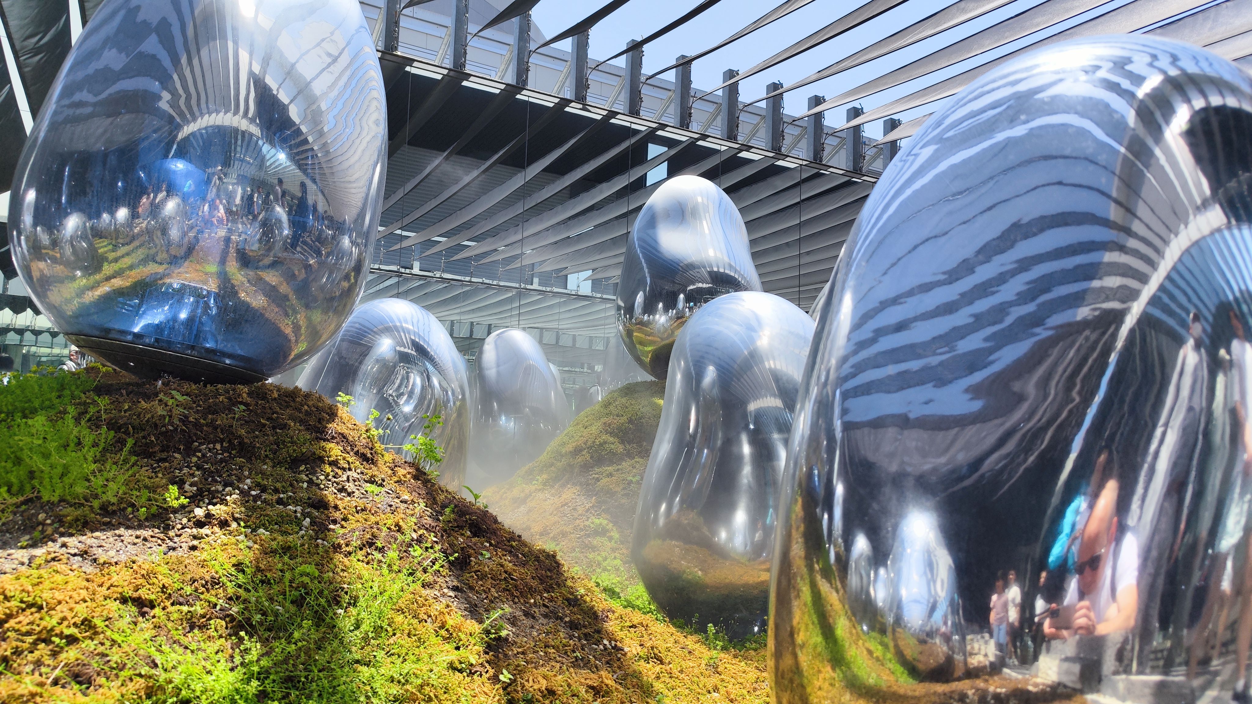 Ausserirdische Eier (?)