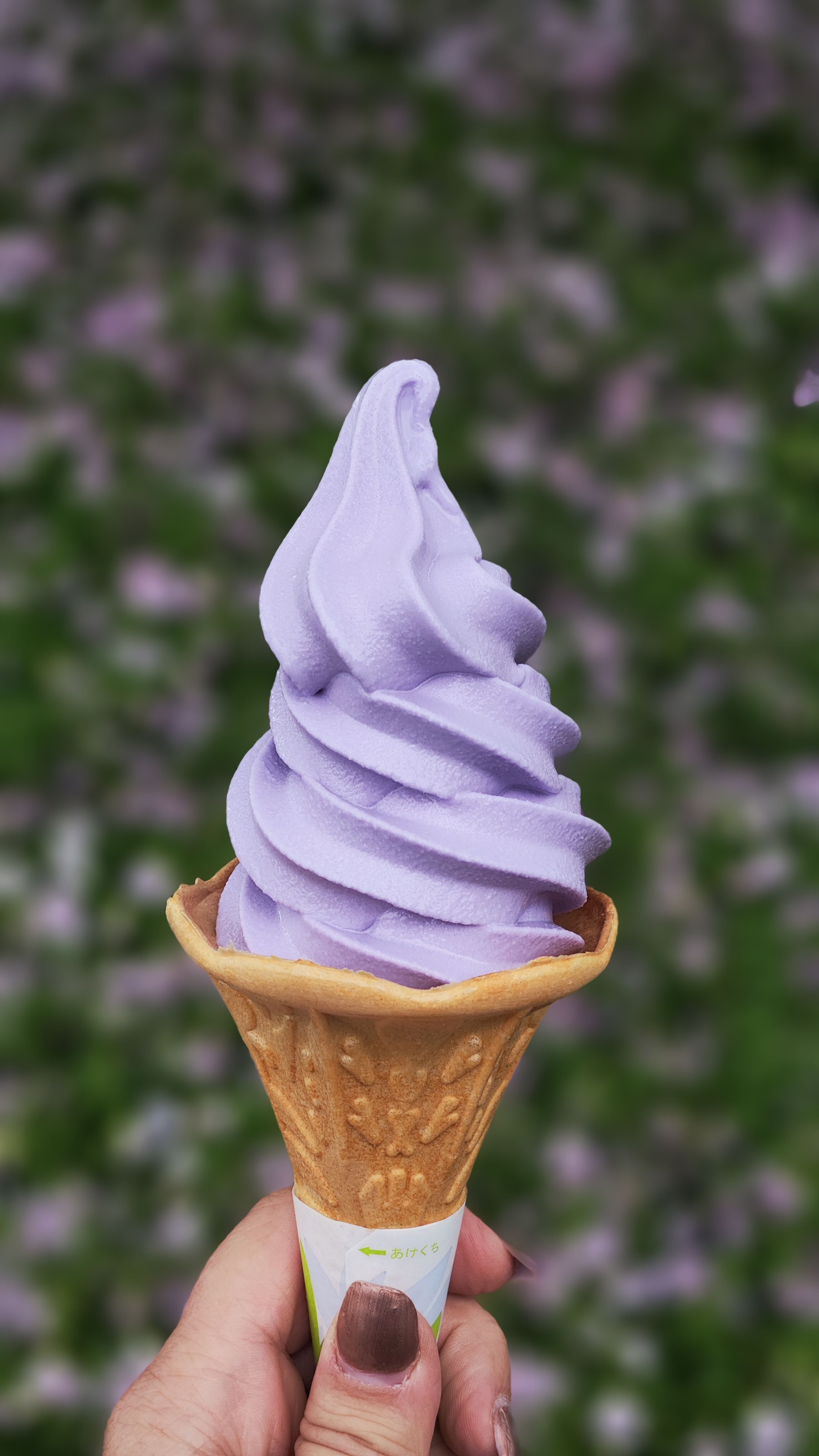 Eis mit Wisteria Geschmack - sehr lecker!