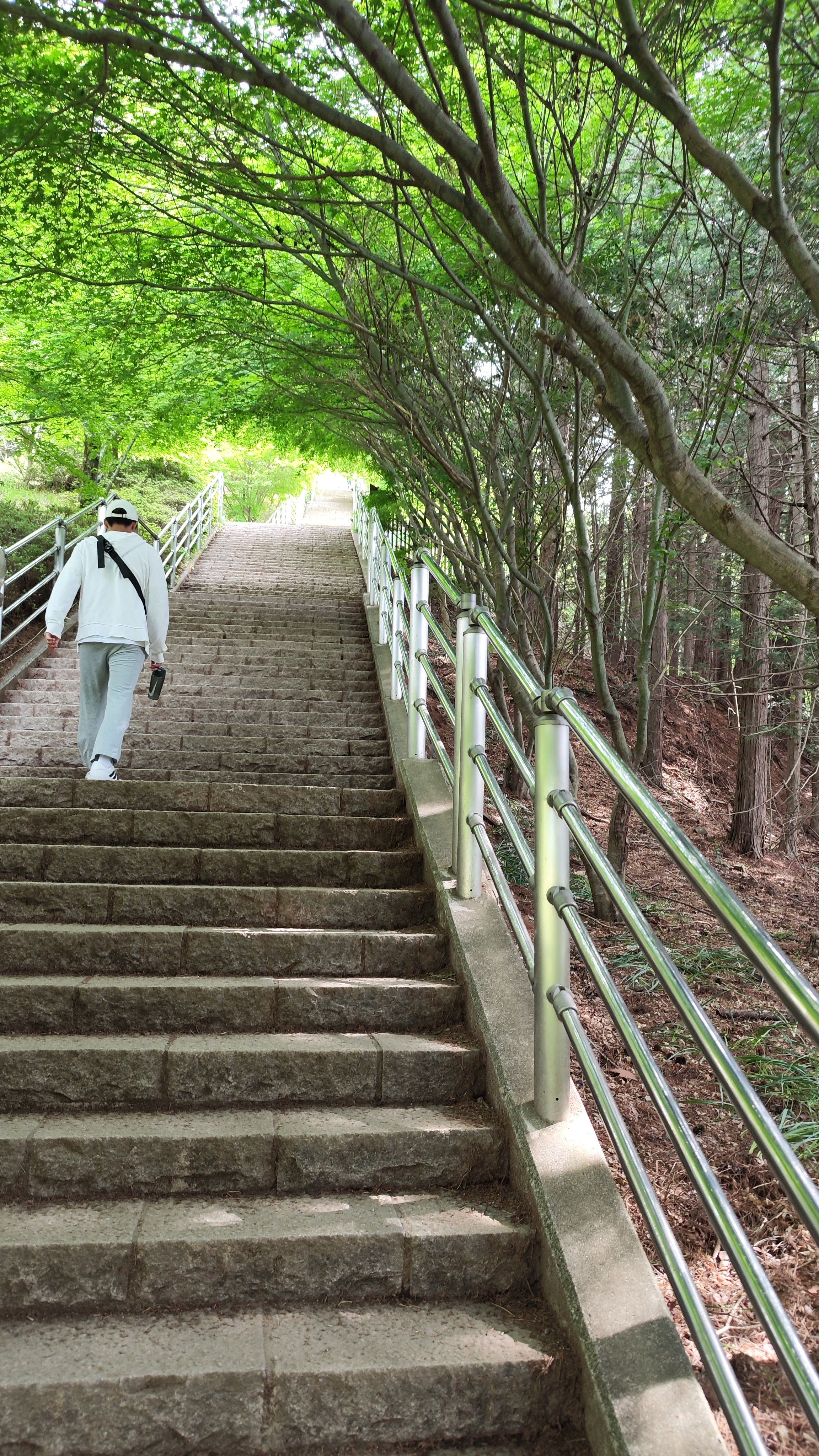 Ein Teil der Treppe hoch zur Pagode und Aussichtsplattform